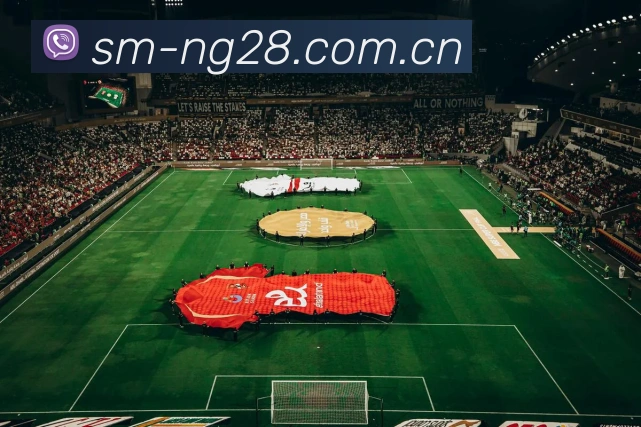 NG28APP 赛事界面图